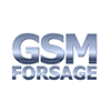 клиенты лого на сайт_0009_gsm forsage-min